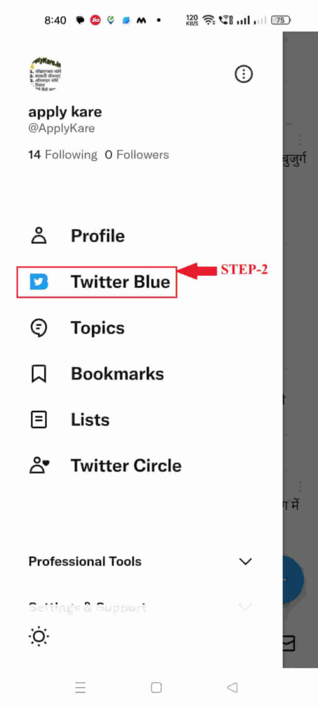 twitter blue tick verification kaise kare